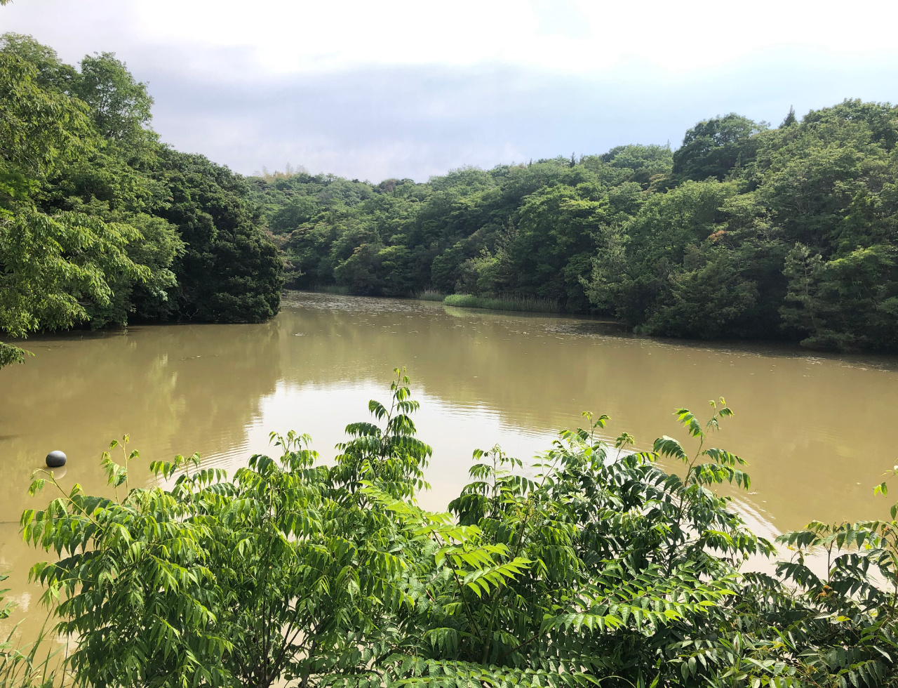◆玉田上池