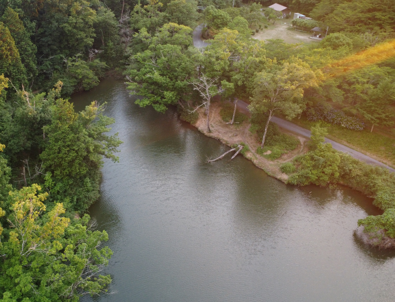 ◆創造の森の池