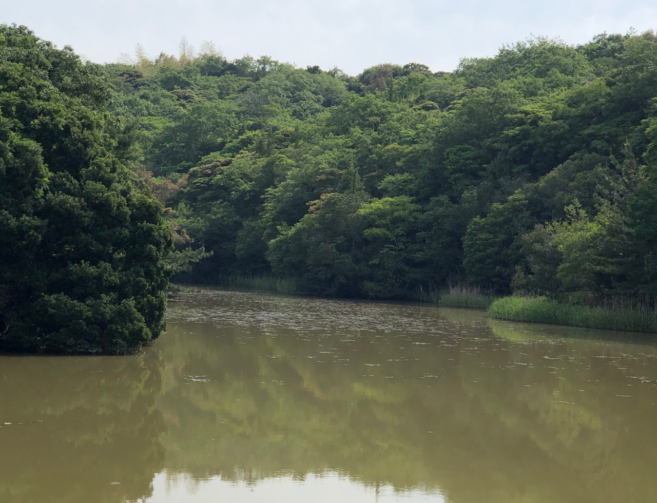 ◆玉田上池