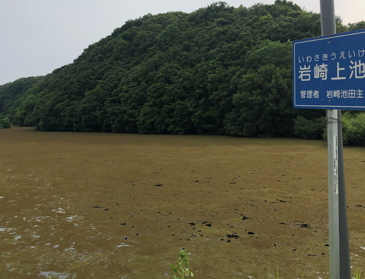 ◆岩崎上池