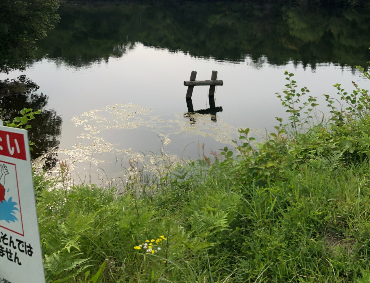 ◆岩崎下池