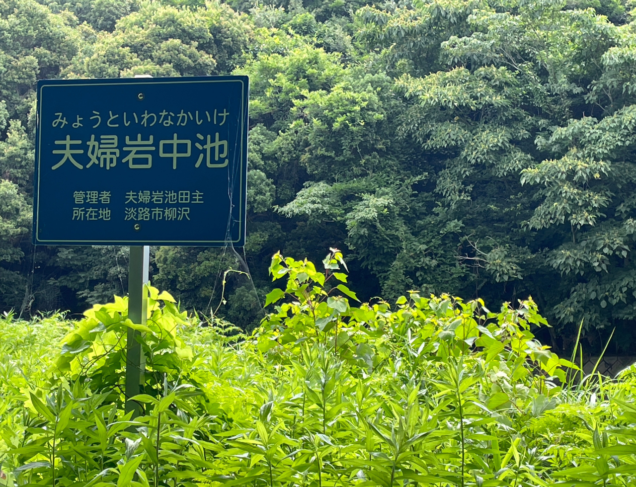 ◆夫婦岩池(上)