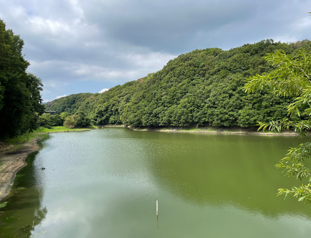 ◆岩崎下池