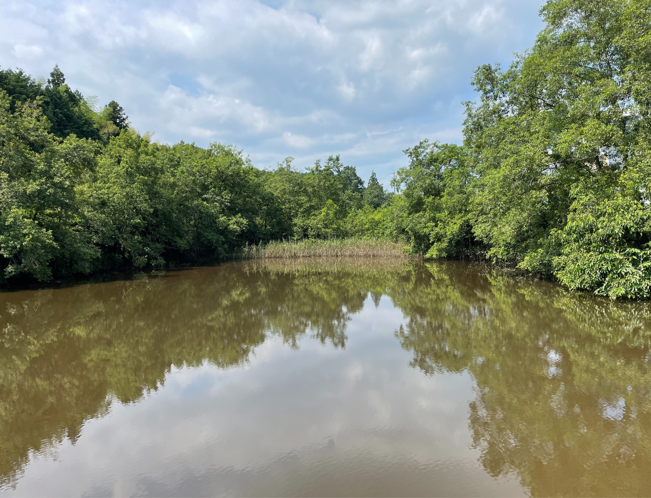 ◆上之庄中ノ池