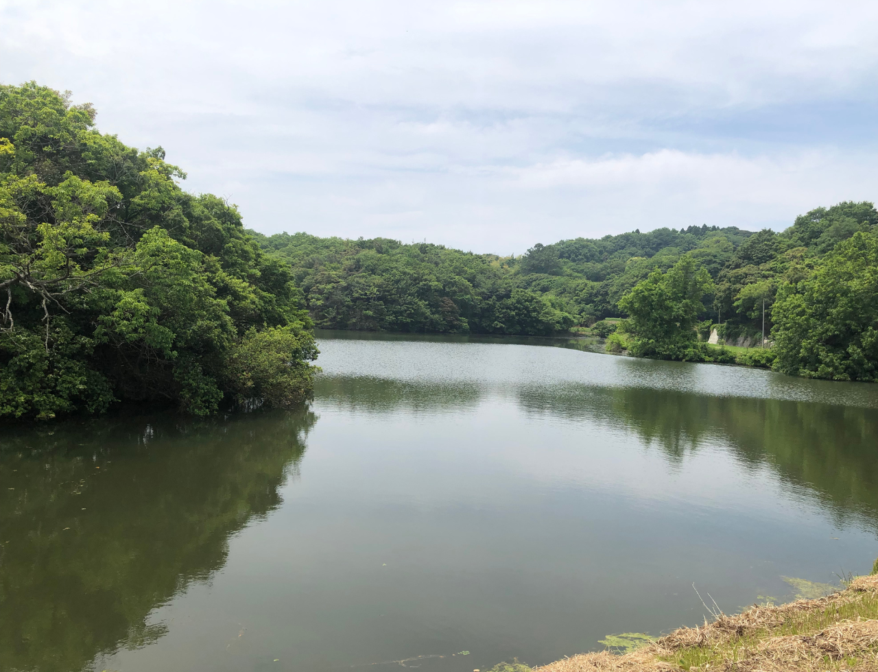 ◆鳴池(五色都志米山)