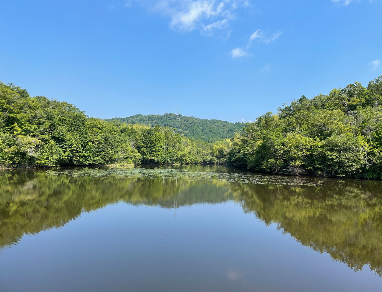 ◆今池(大野木)
