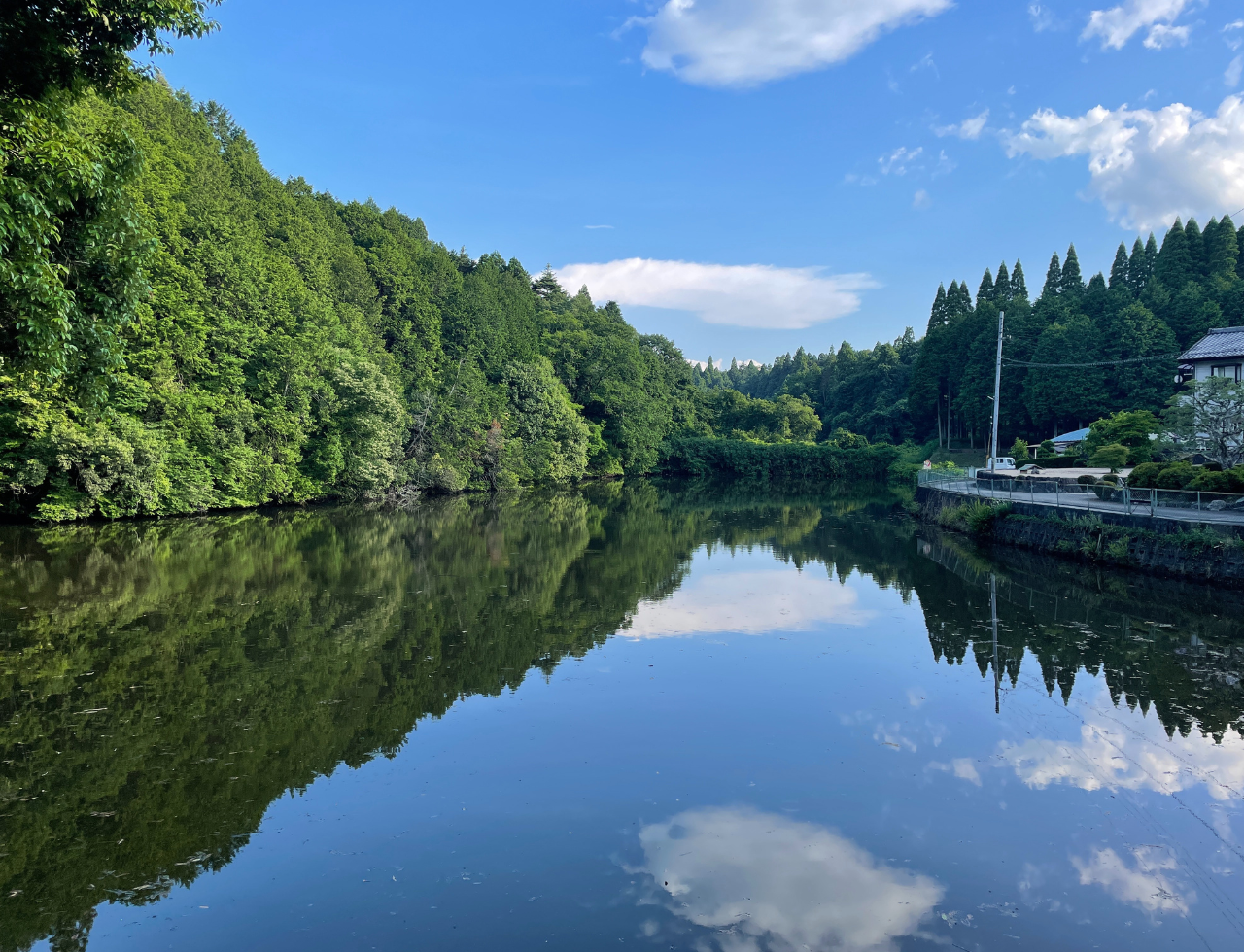 ◆檜尾神社池(上)