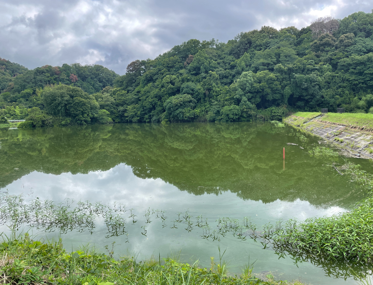 ◆別所池(西三谷)