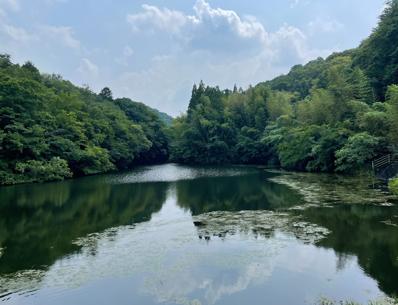 ◆小野東神社南池