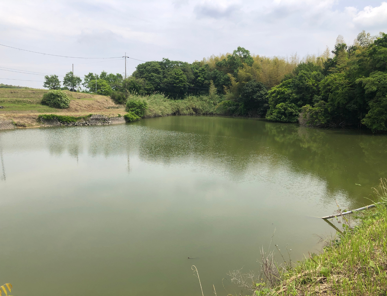 ◆保六田池