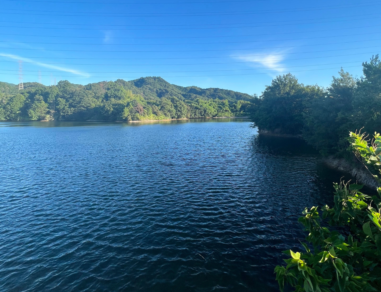 ◆別所池(久保)