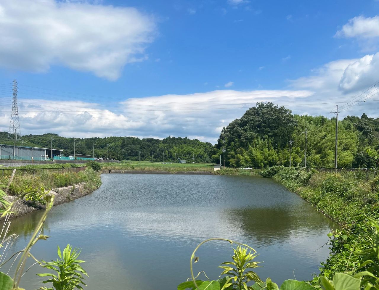 ◆八田新池
