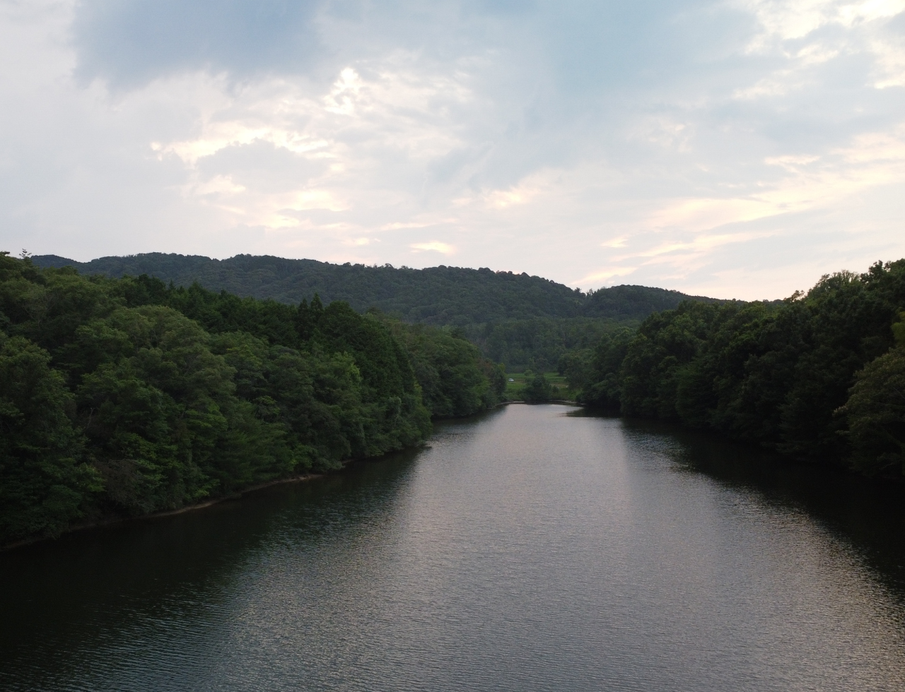 ◆大和田城東池