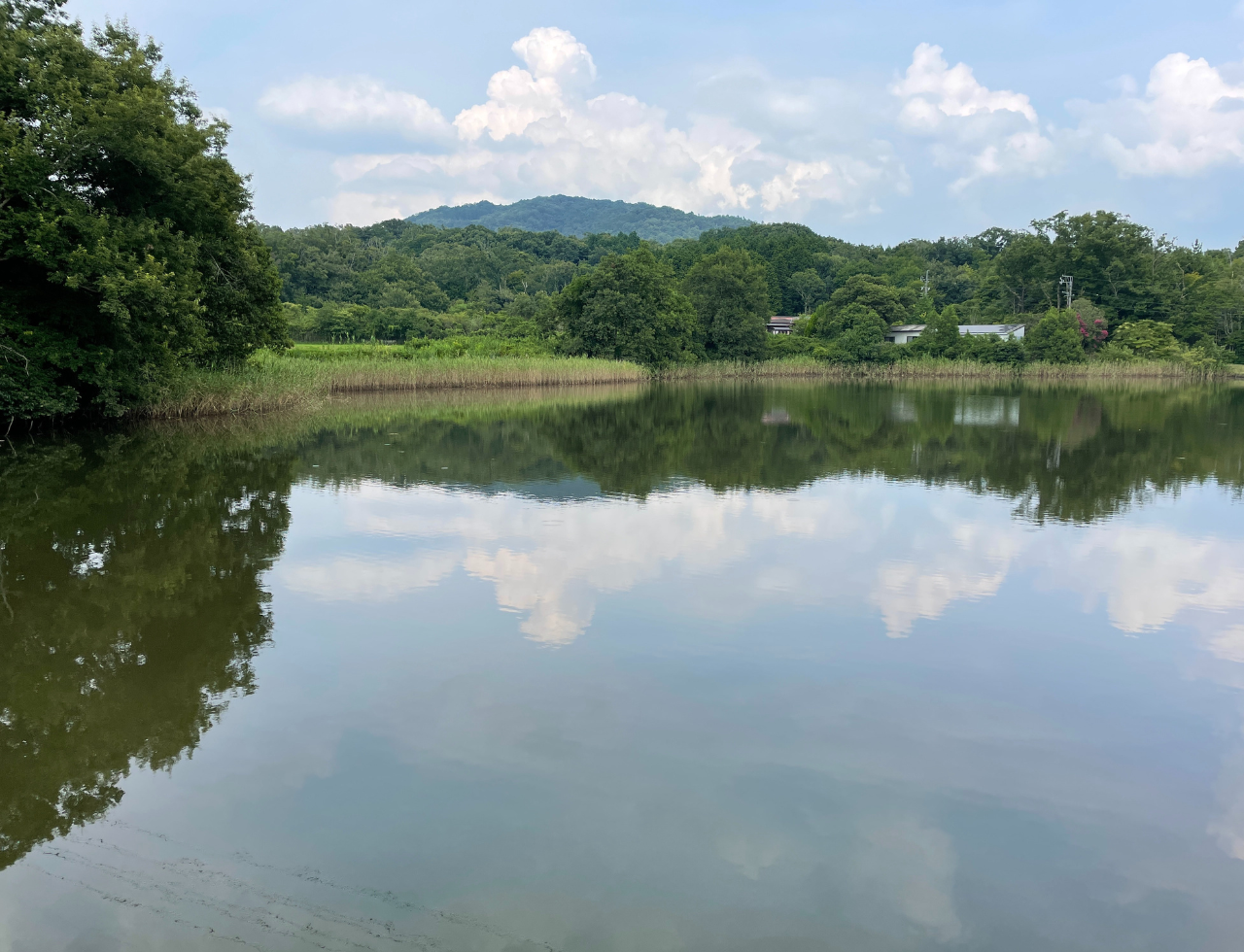 ◆下友生新池