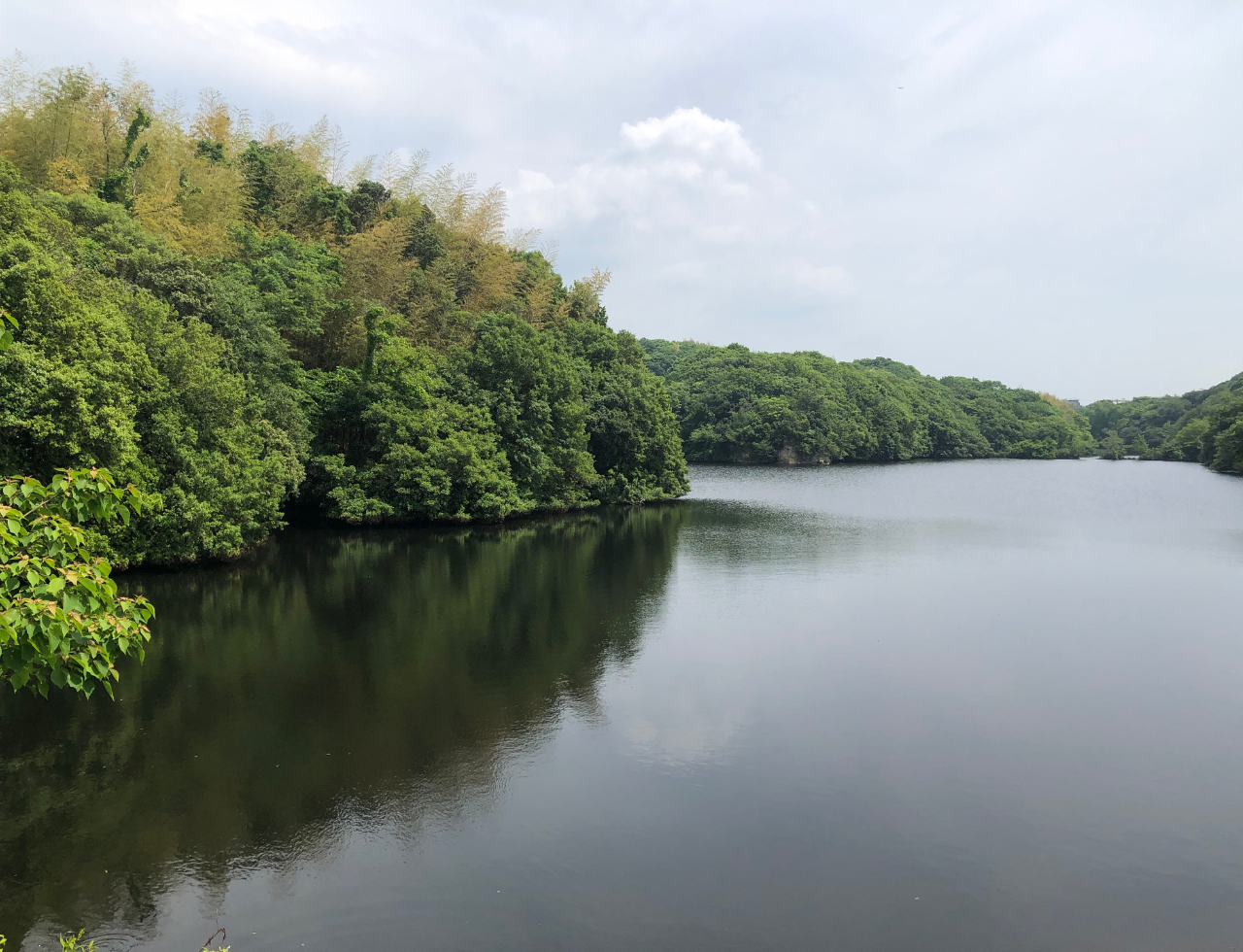 ◆鳴池(五色鮎原)