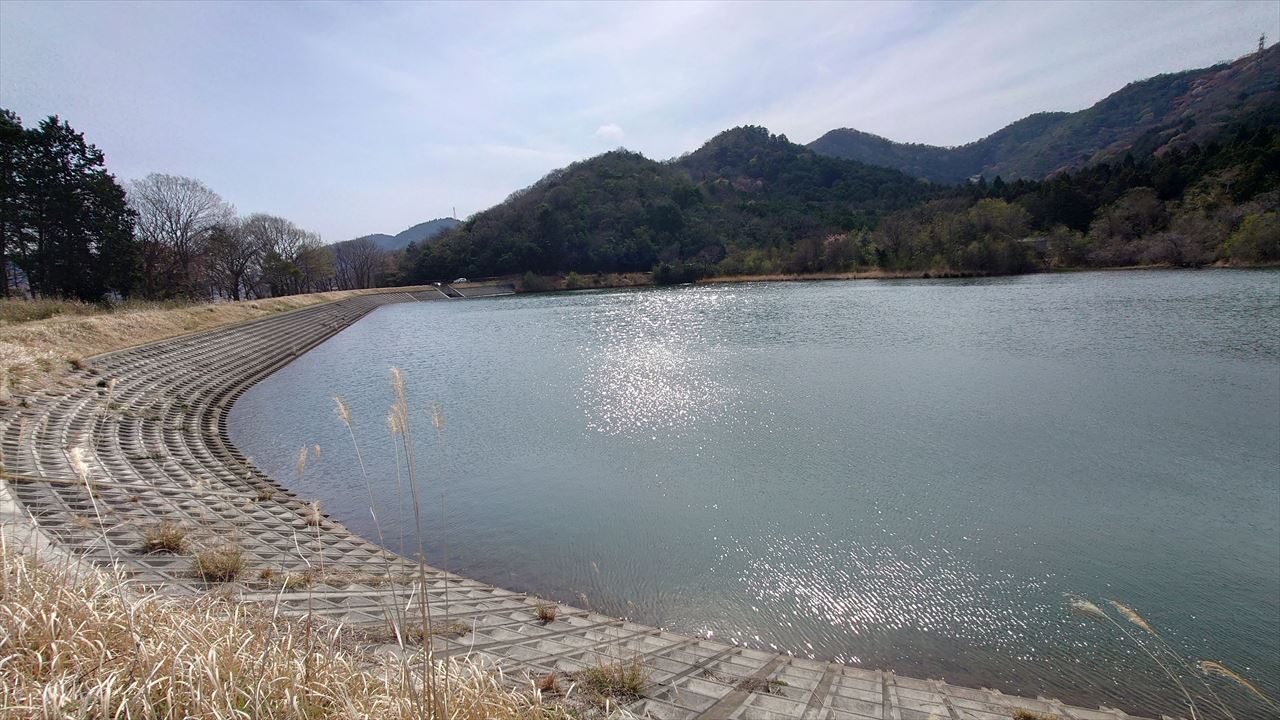 ◆宮池(蒲江北)