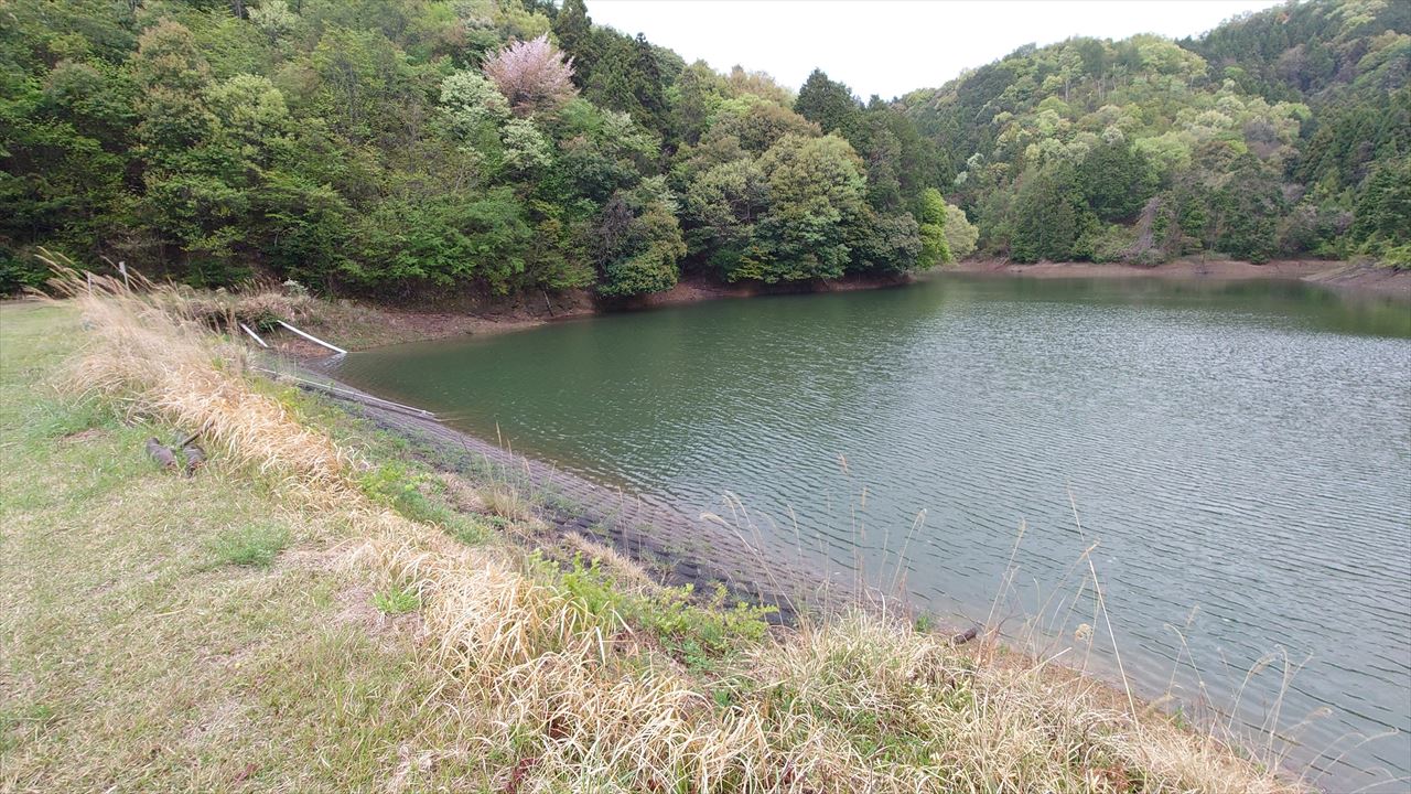 ◆大門大年谷池