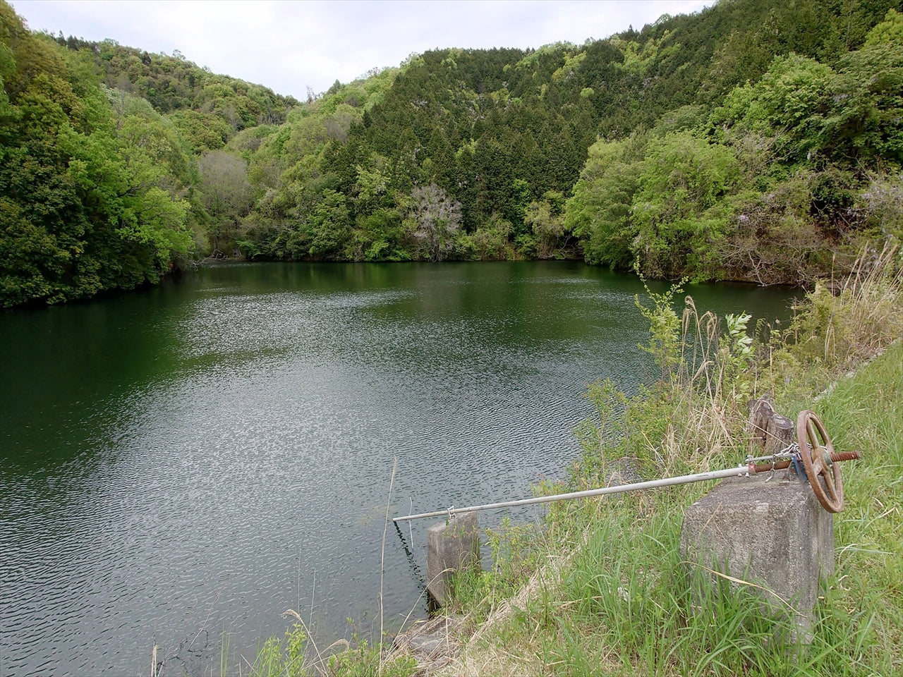 ◆中の池(北条町古坂)