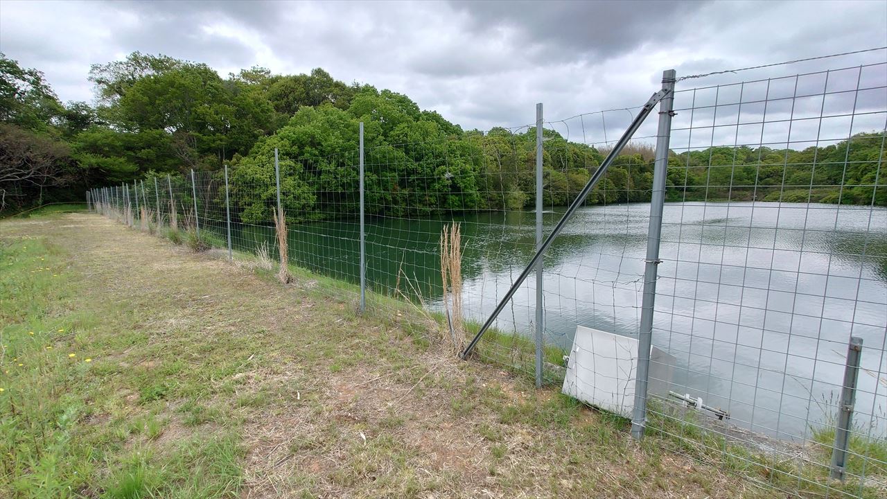 ◆新池(桑原田町)