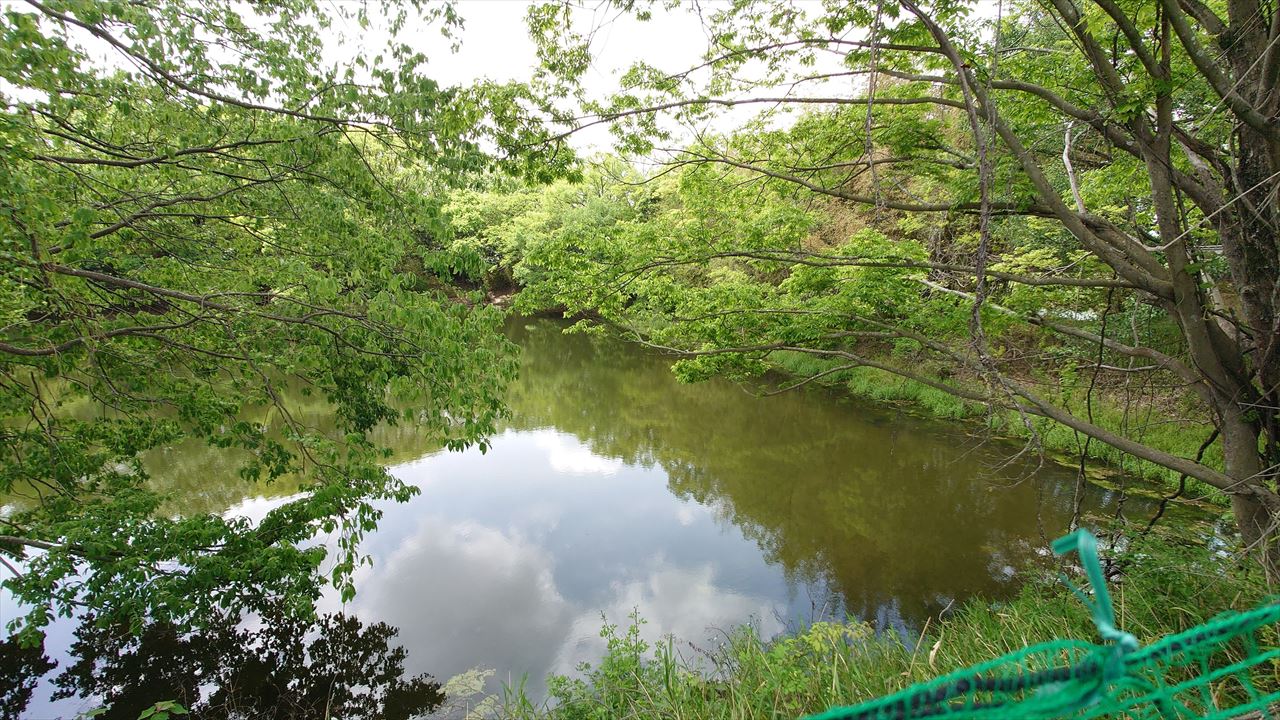 ◆金玉池(東古瀬)
