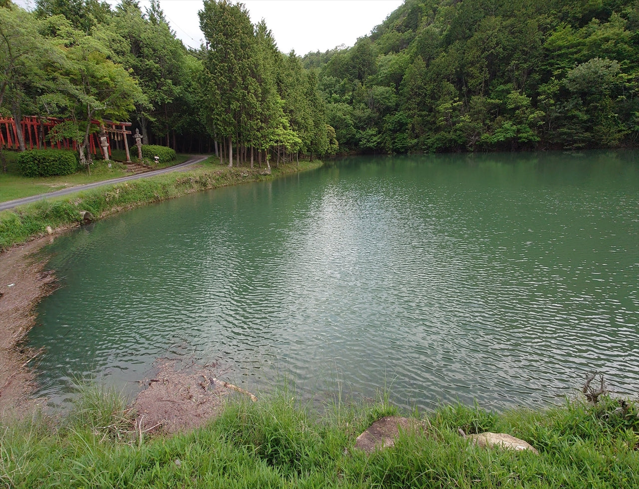 ◆福谷下池(黒田庄)