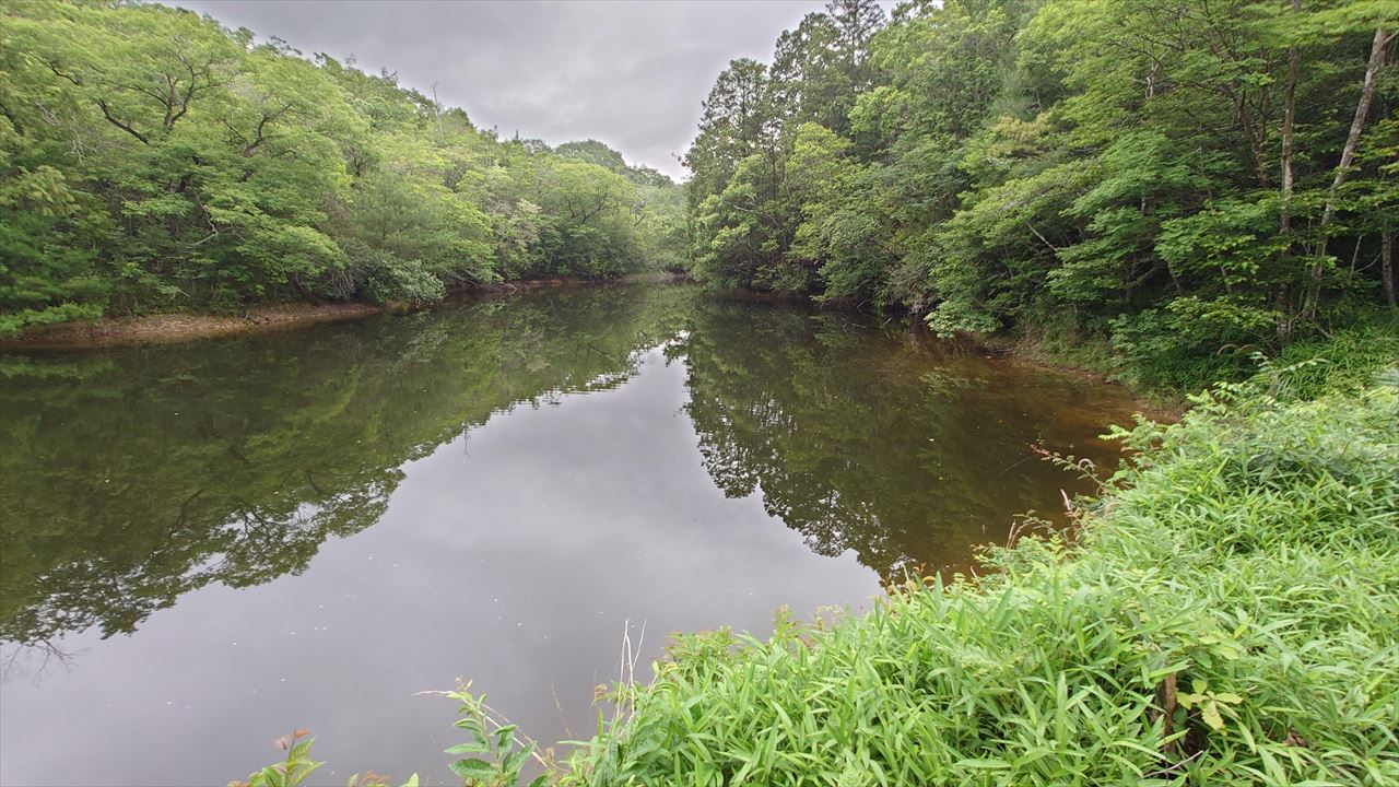 ◆谷田中池(上久米南山)