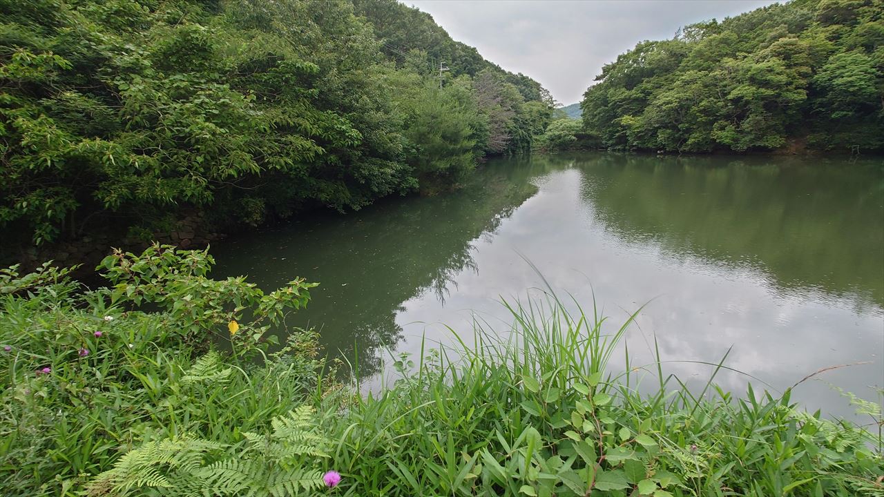 ◆新池(国正町)