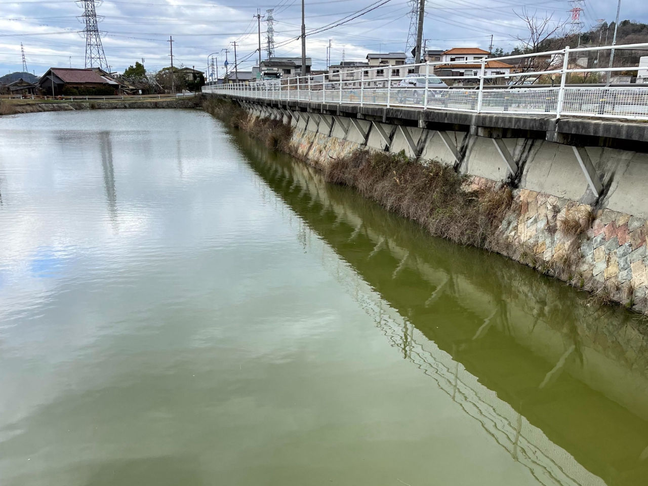 ◆赤坂下池(平荘町)