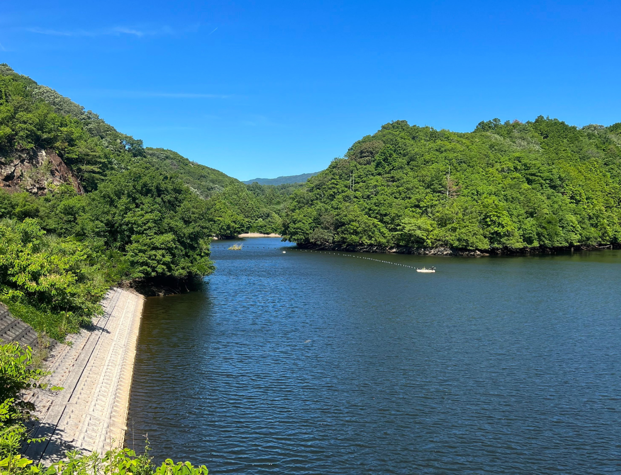 ◆新池(上之郷)
