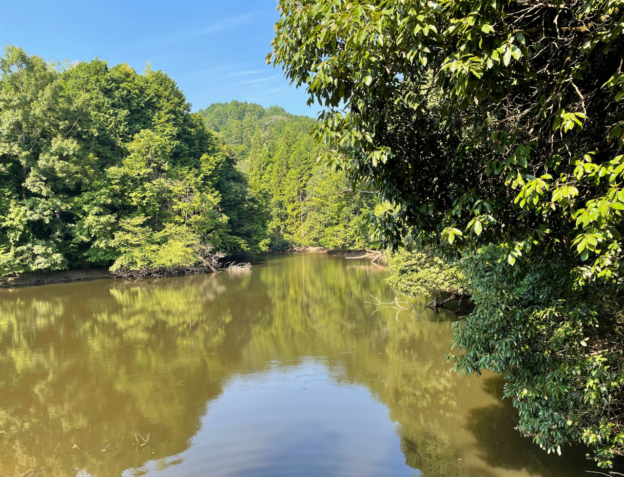 ◆龍王寺地蔵尊池群
