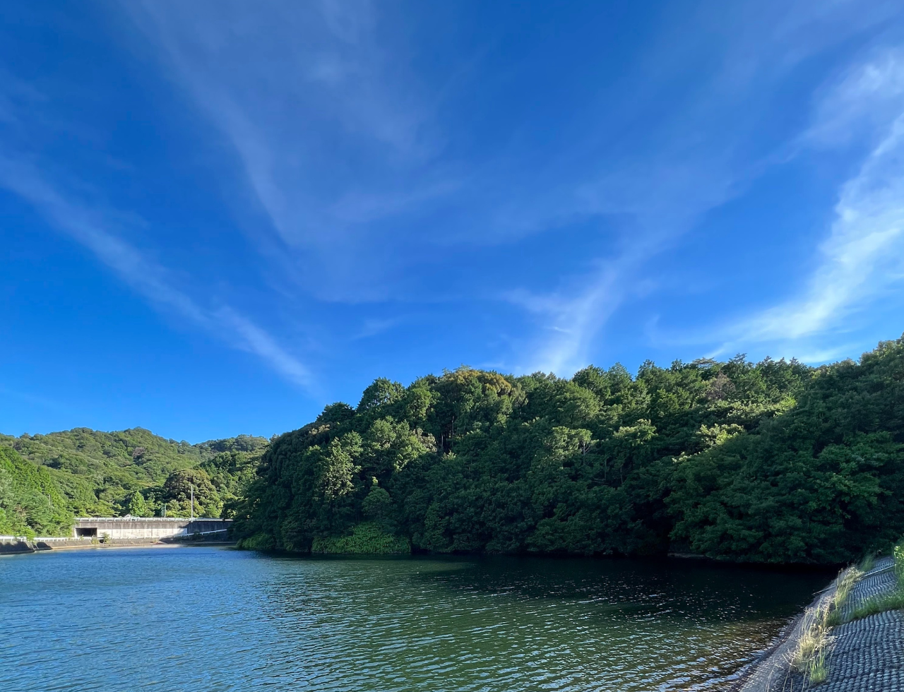 ◆大谷池(泉南市別所)