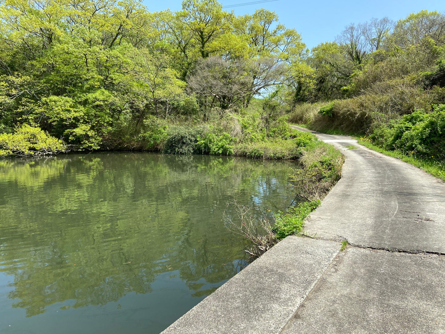 ◆奥田池(長浜)