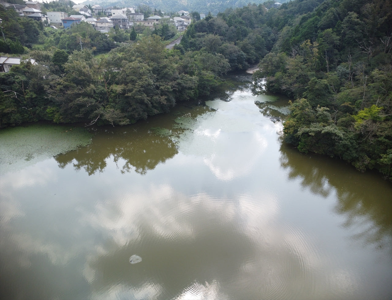 ◆名阪工業団地第六公園池