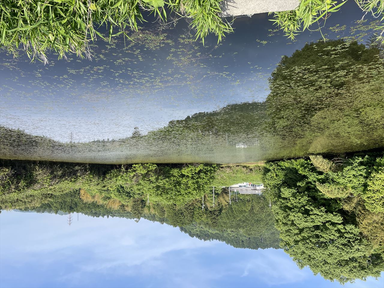 ◆若林池(三大寺)