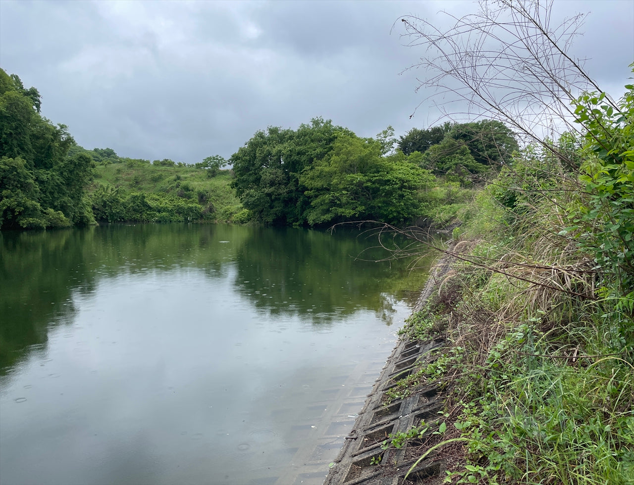 ◆上平田新池