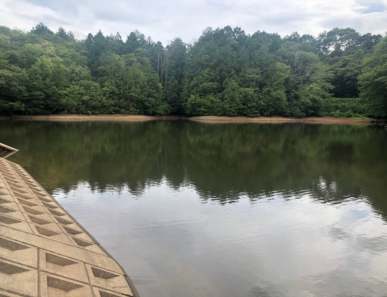 ◆護国院新池(下相野)