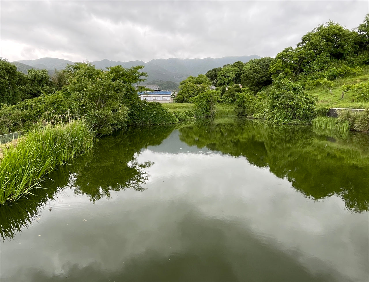 ◆宮ノ大池(中之町)