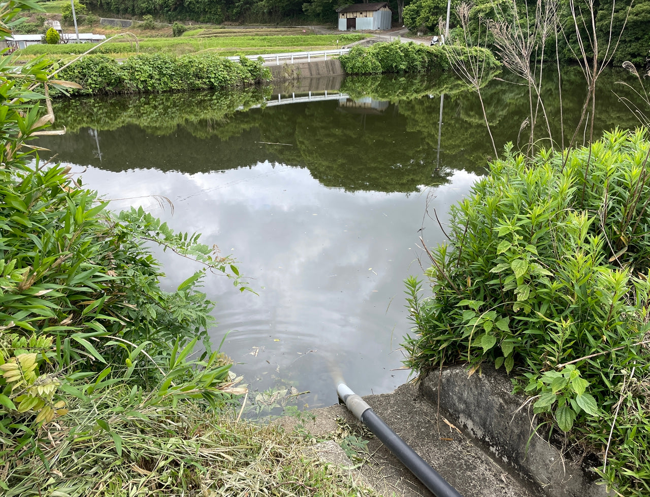◆あみだ池