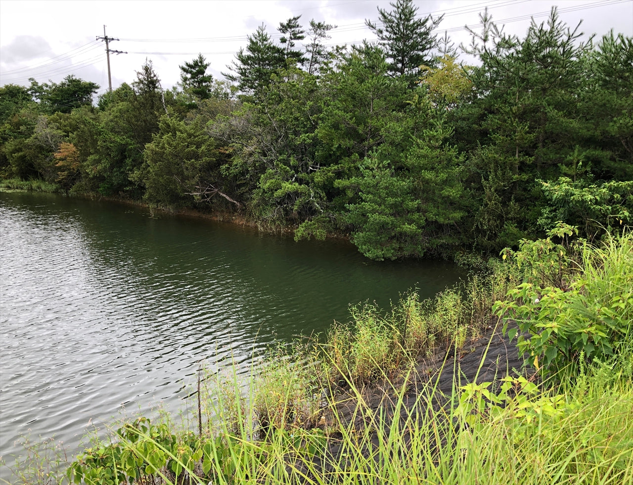 ◆西池(福住町)