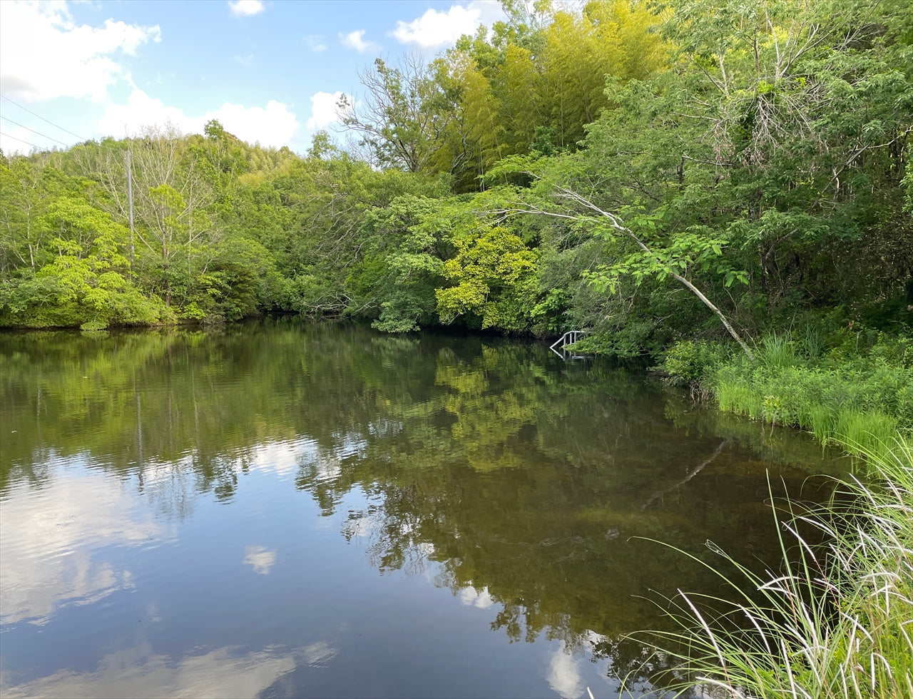 ◆新田池(七山)