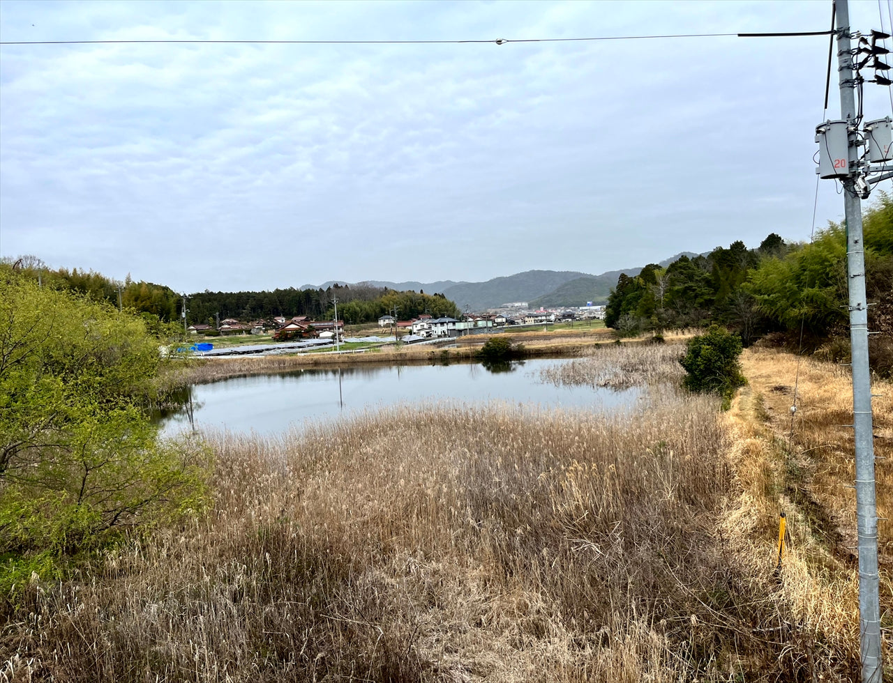 ◆中池(西条町)