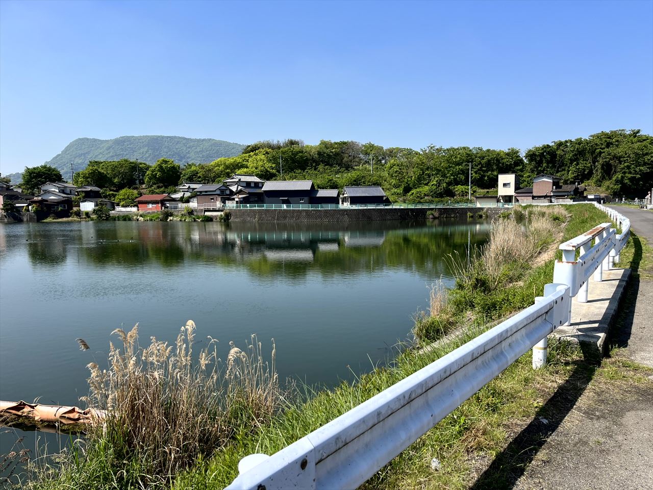 ◆新池(神谷町)