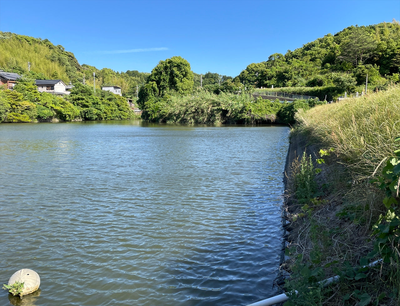 ◆遠田池