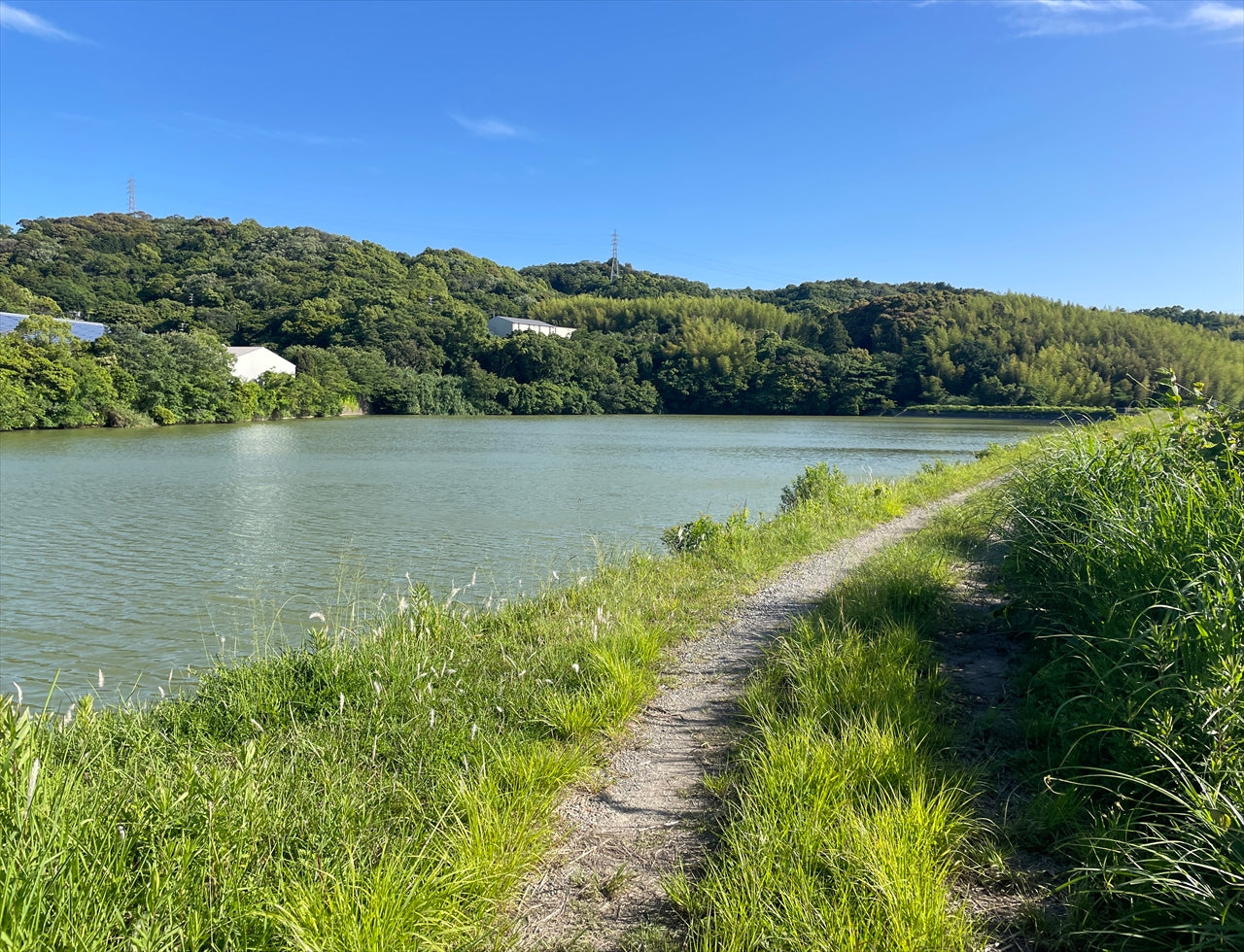 ◆大池(日高町荊木)