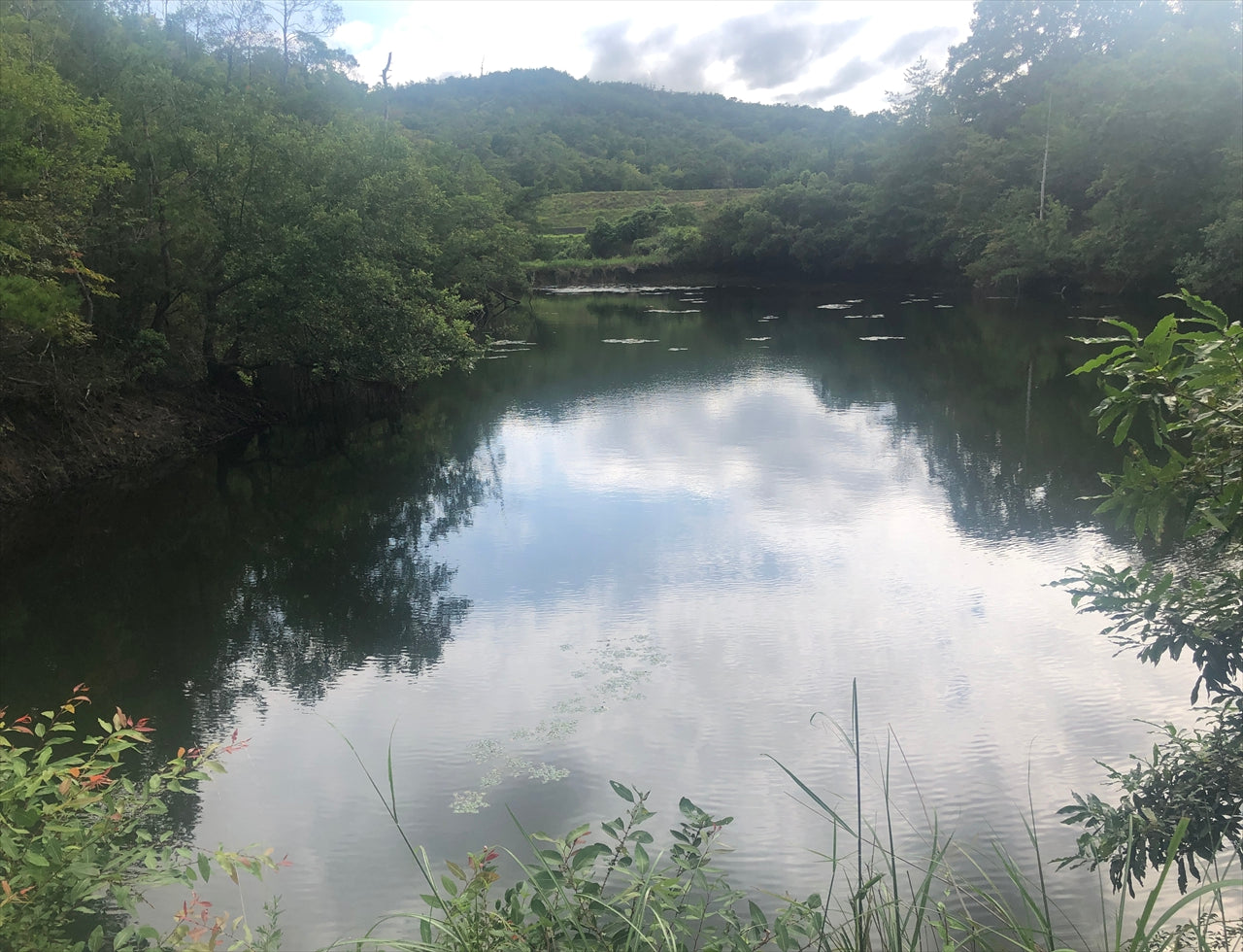 ◆下池(糸井町)