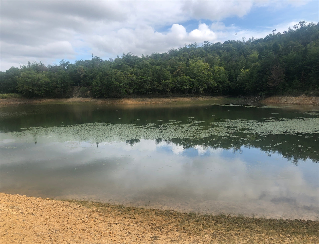 ◆中池(糸井町)