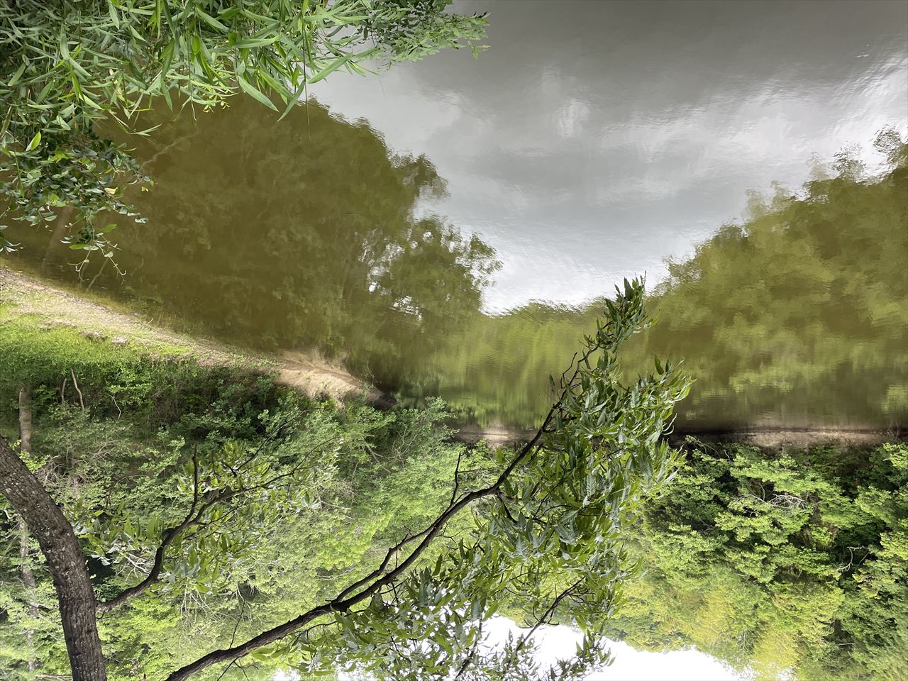 ◆大谷下池(大谷)