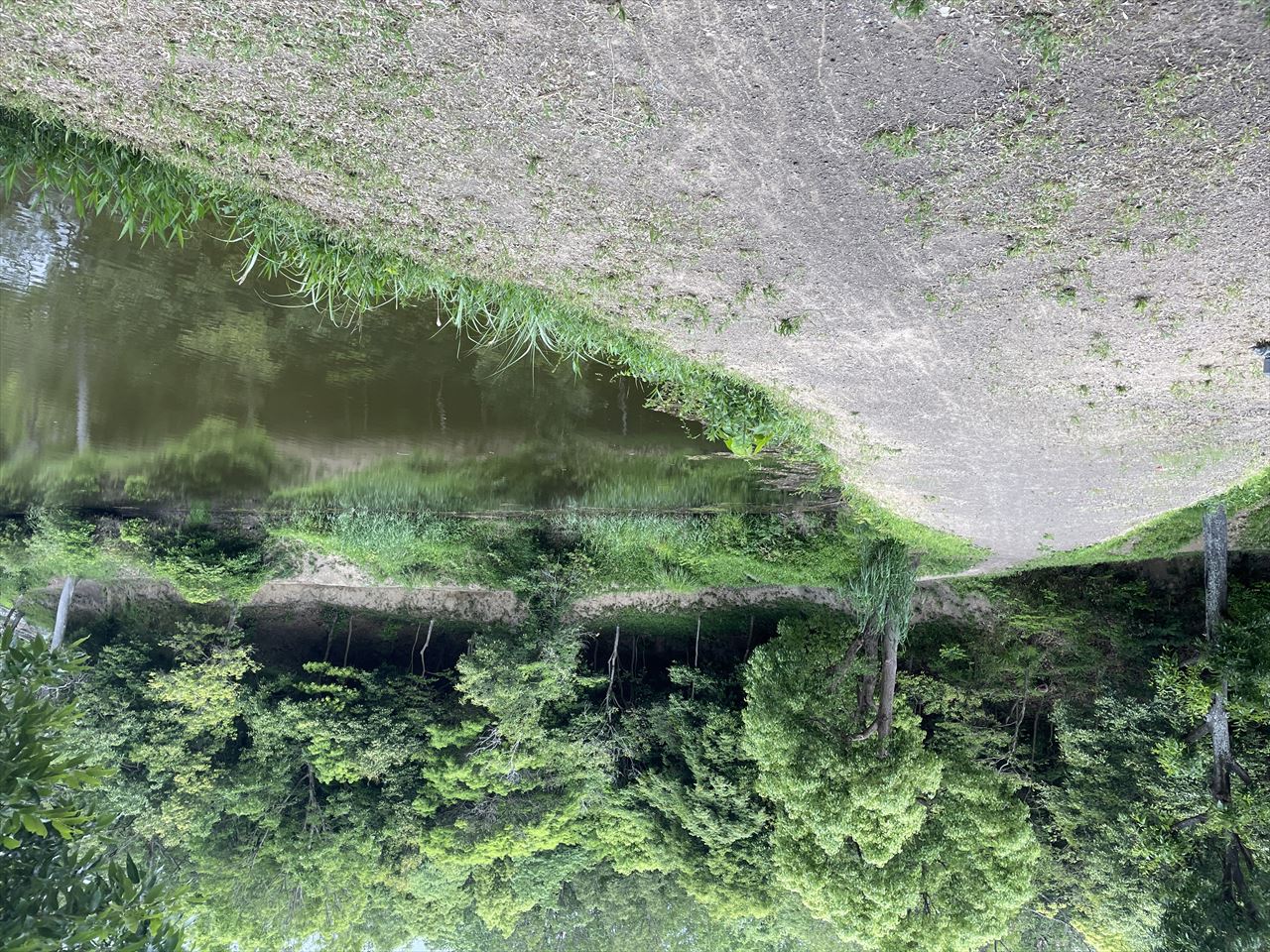 ◆大谷上池(大谷)