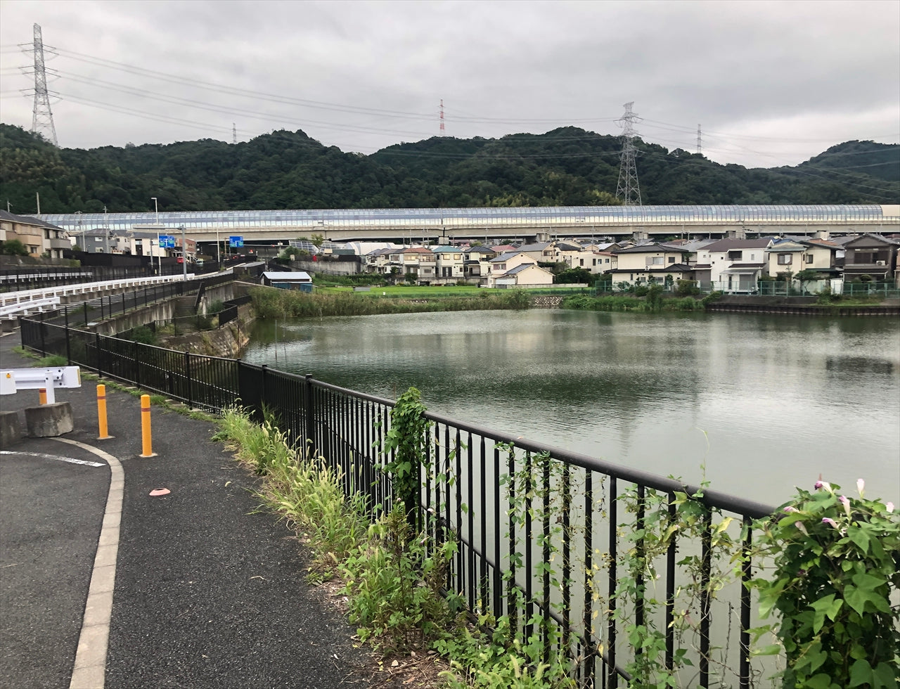 ◆大池(枚方市津田南町)