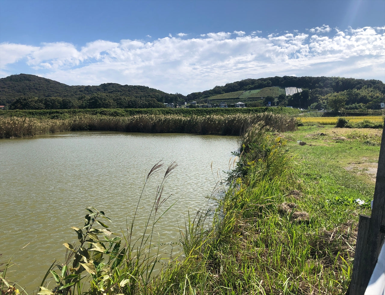 ◆上池(老ノ口)